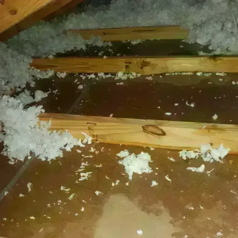 Attic Water Damage in Camden, TN